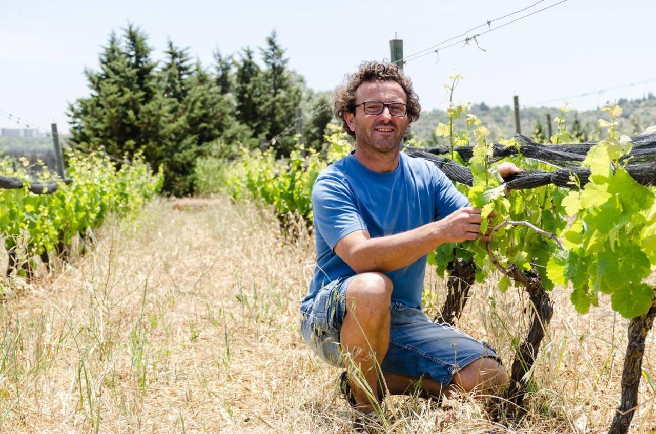 Casas Na Vinha - Monte Da Casteleja, Wine Estate - Eco Turismo Rural ラゴス エクステリア 写真