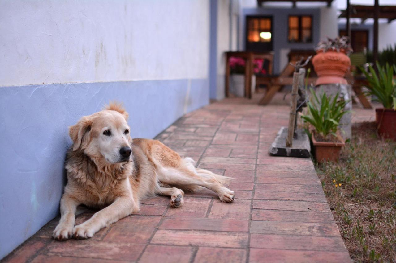 Casas Na Vinha - Monte Da Casteleja, Wine Estate - Eco Turismo Rural ラゴス エクステリア 写真