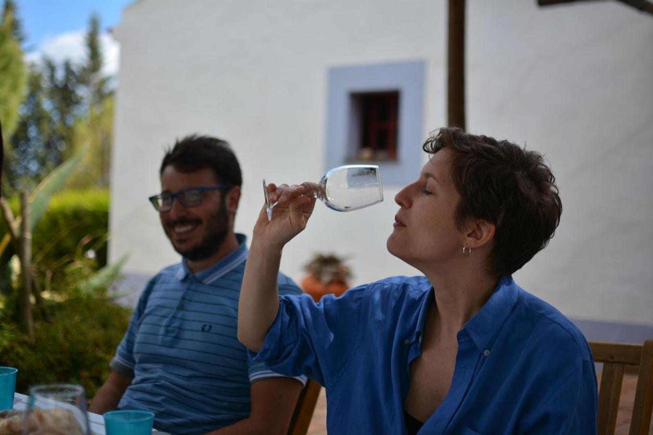 Casas Na Vinha - Monte Da Casteleja, Wine Estate - Eco Turismo Rural ラゴス エクステリア 写真